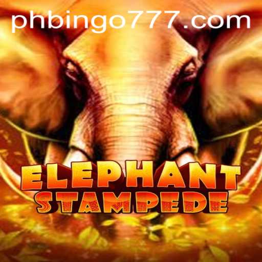 A Deep Dive into ElephantStampede: Unveiling the Exciting World of phbingo
